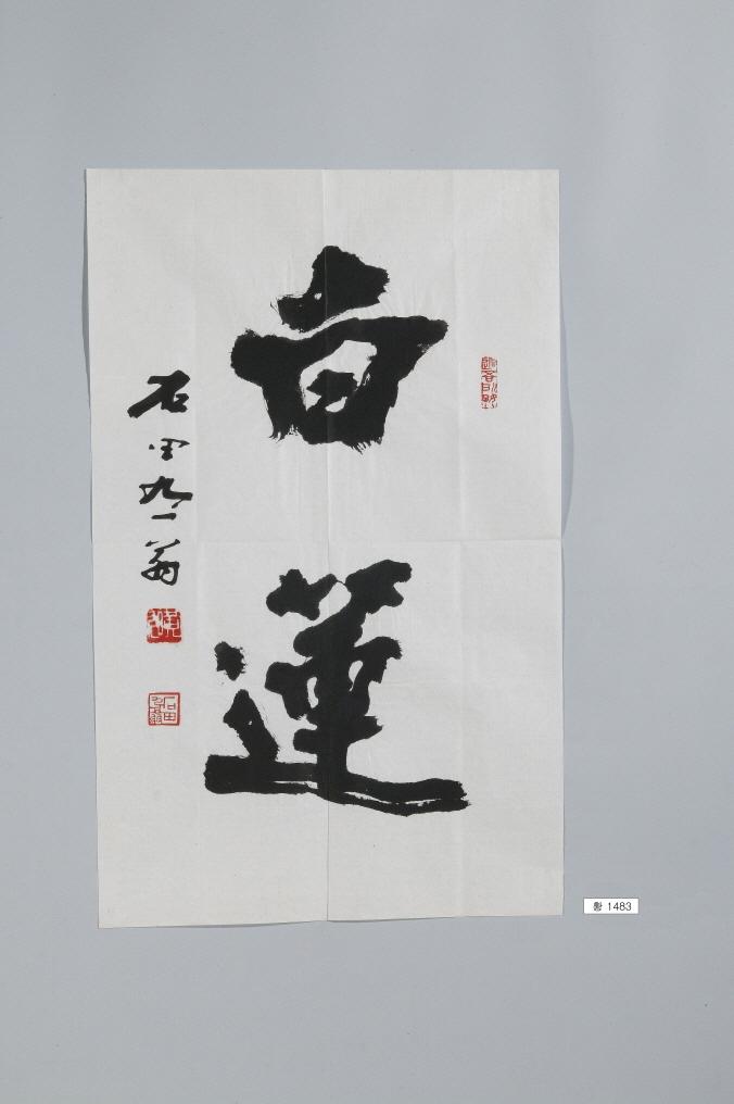 石田黃旭筆＂白蓮＂